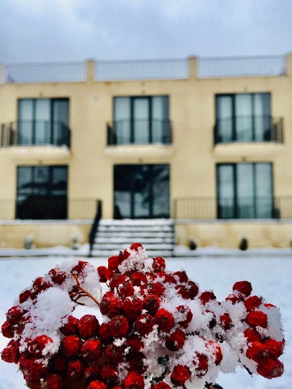 Hotel Horizon Kazbegi エクステリア 写真